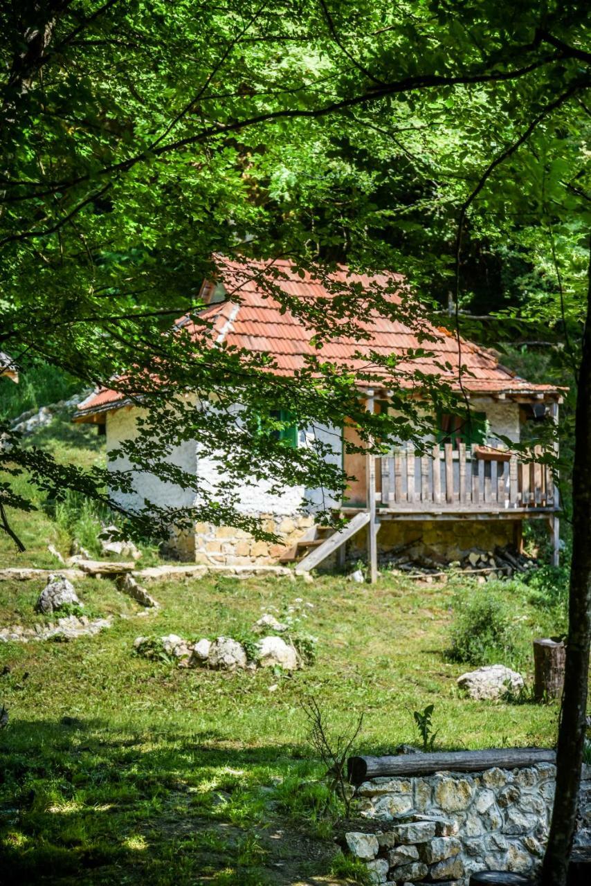 Hum Camp Divlja Rijeka酒店 外观 照片